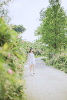 《家政女孩2》